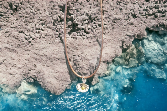 Seashell on Rope Necklace