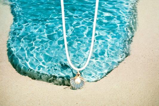 Seashell Necklace